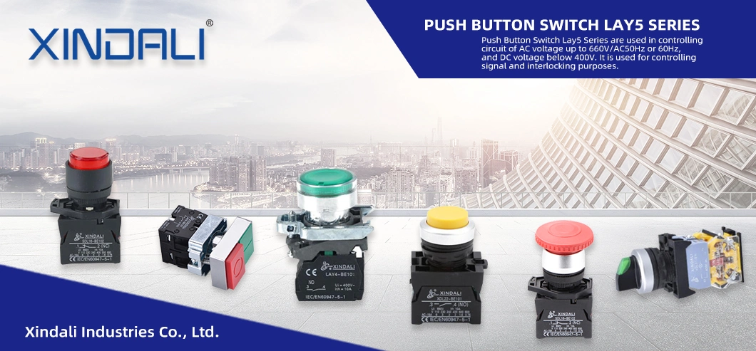 Lay5-Es142 Key Emergency Stop Button on-off Plastic Push Button Switch