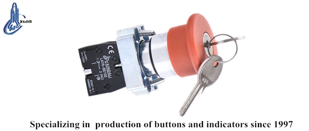 Lay5-BS142 Emergency Stop Push Button Switch with Key