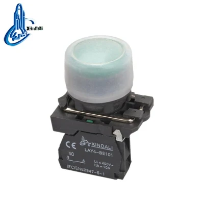 Lay4-Ep31 IP65 Botón Cap 22mm Industrial Impermeable Plástico Empotrado Pulsador